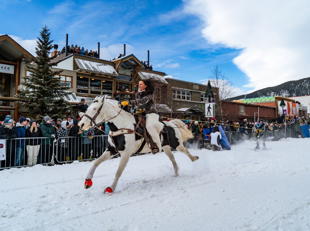 Horse and rider towing skier down Banff Avenue at Banff Skijoring festival event