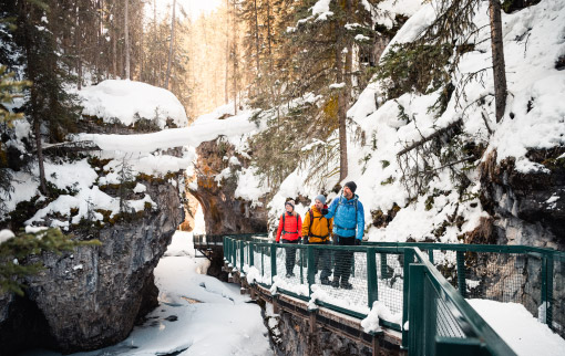 Discover Banff Tours - Ice Walk