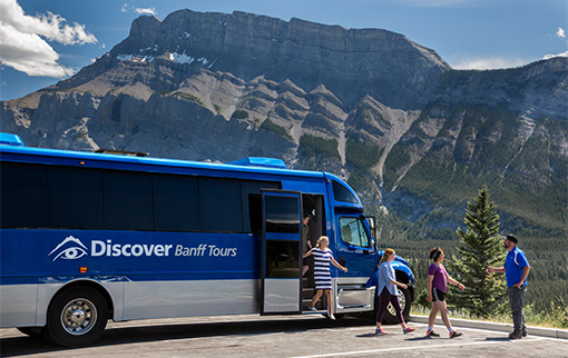 Small group guided sightseeing and wildlife tour in Banff National Park.