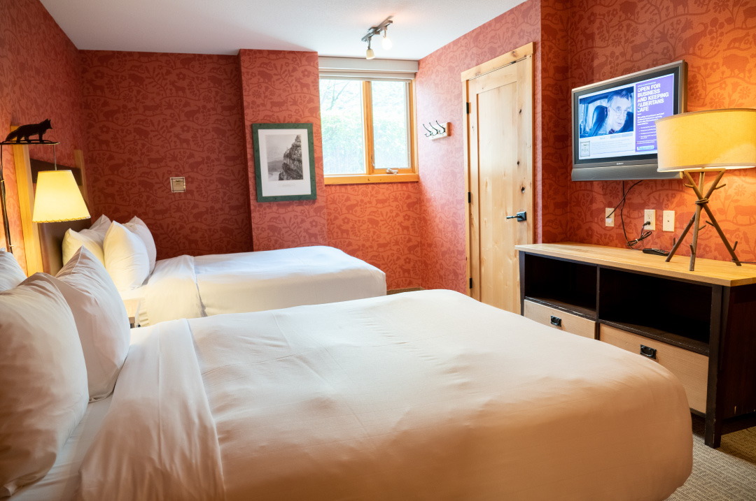 Fox Hotel Room Fox Hotel Room