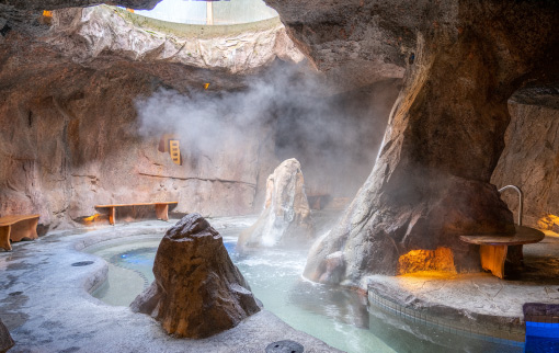 Fox Hotel & Suites Hot Pool