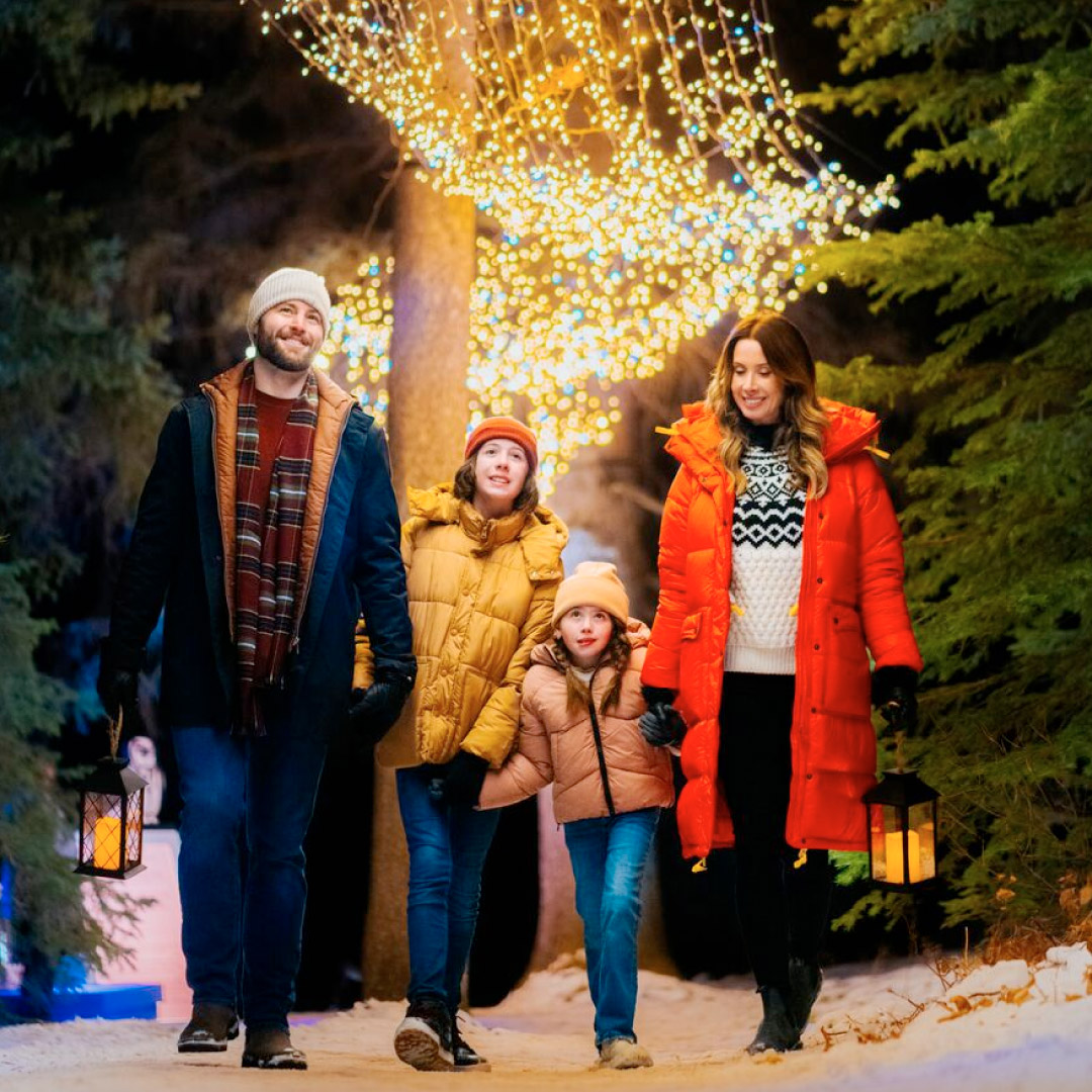 In Search of Christmas Spirit Hotel Offer