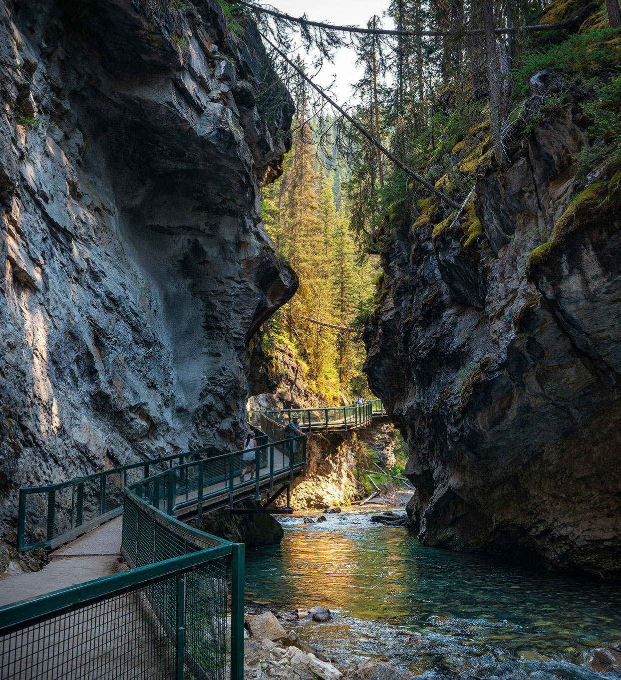 Moose Hotel Rooftop Hot Pools by Katie Goldie