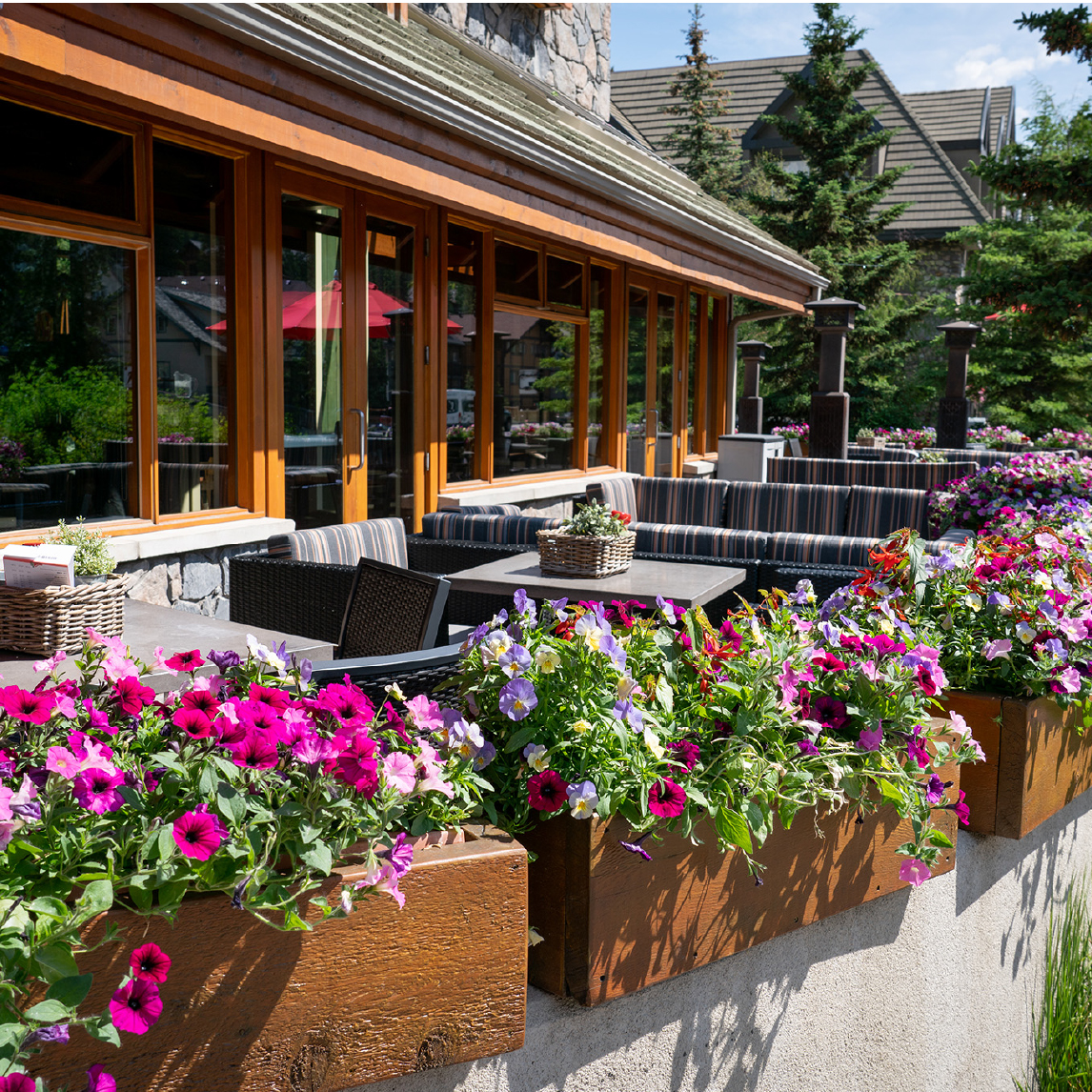 Chilis Banff Patio Summer
