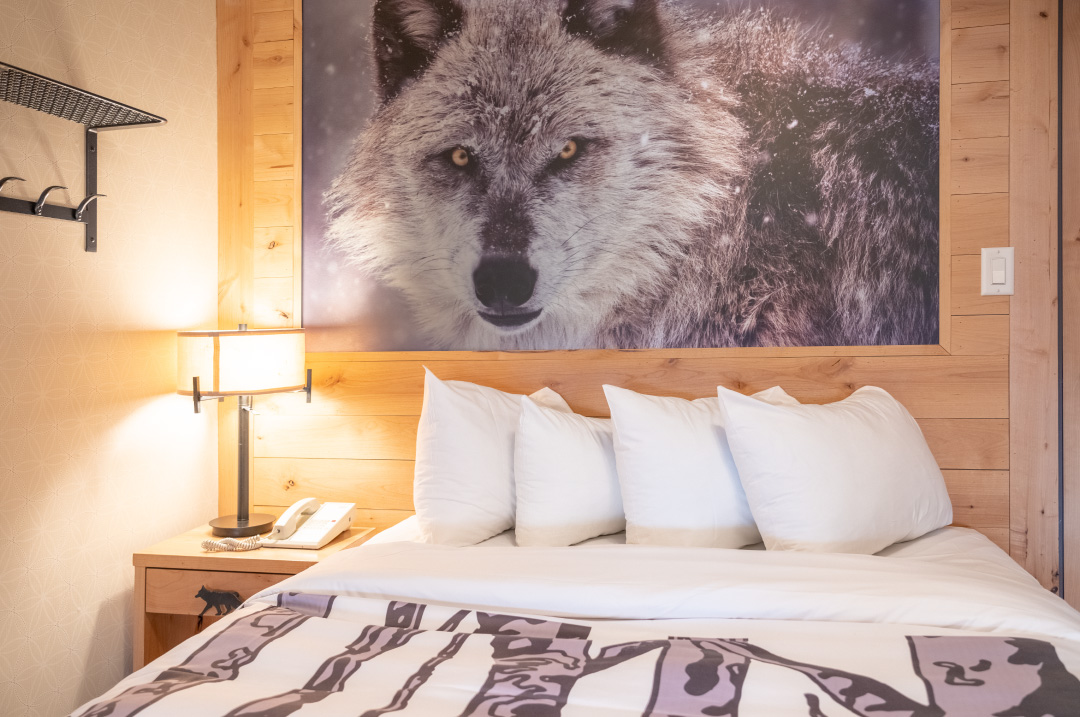Rocky Mountain Resort Wolf Studio