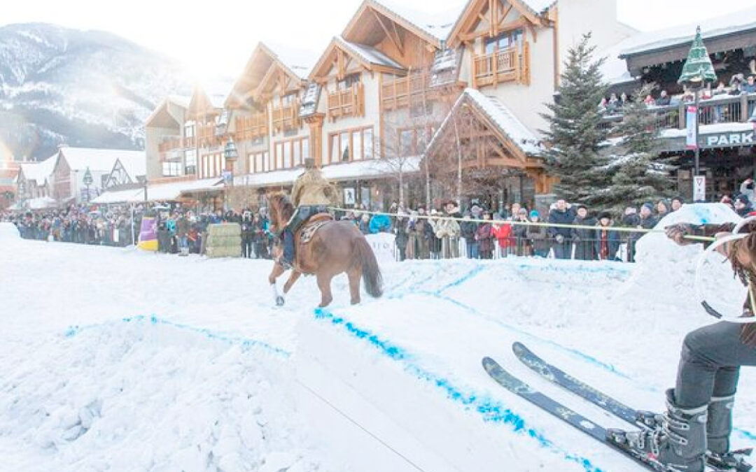 Skijoring