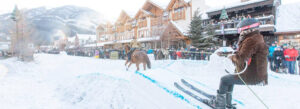 Skijor in Banff National Park