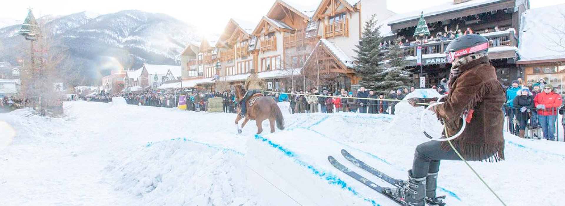 Skijor in Banff National Park