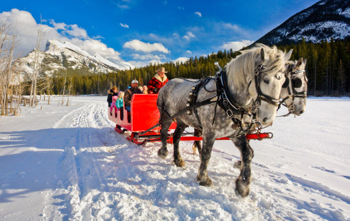 Trail Riders Sleighrides