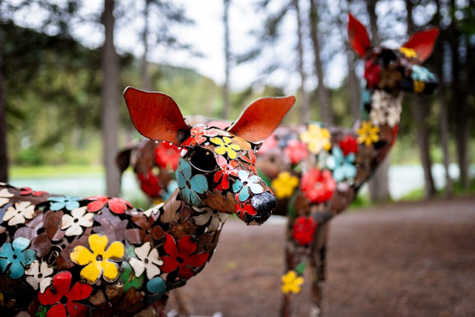 Art in Nature Trail, Banff's outdoor art exhibit