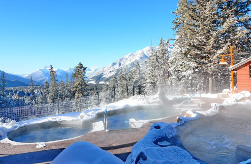 Moose & Meadow Package
