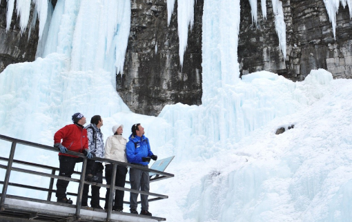 Discover Banff Tours Discover Banff Tours