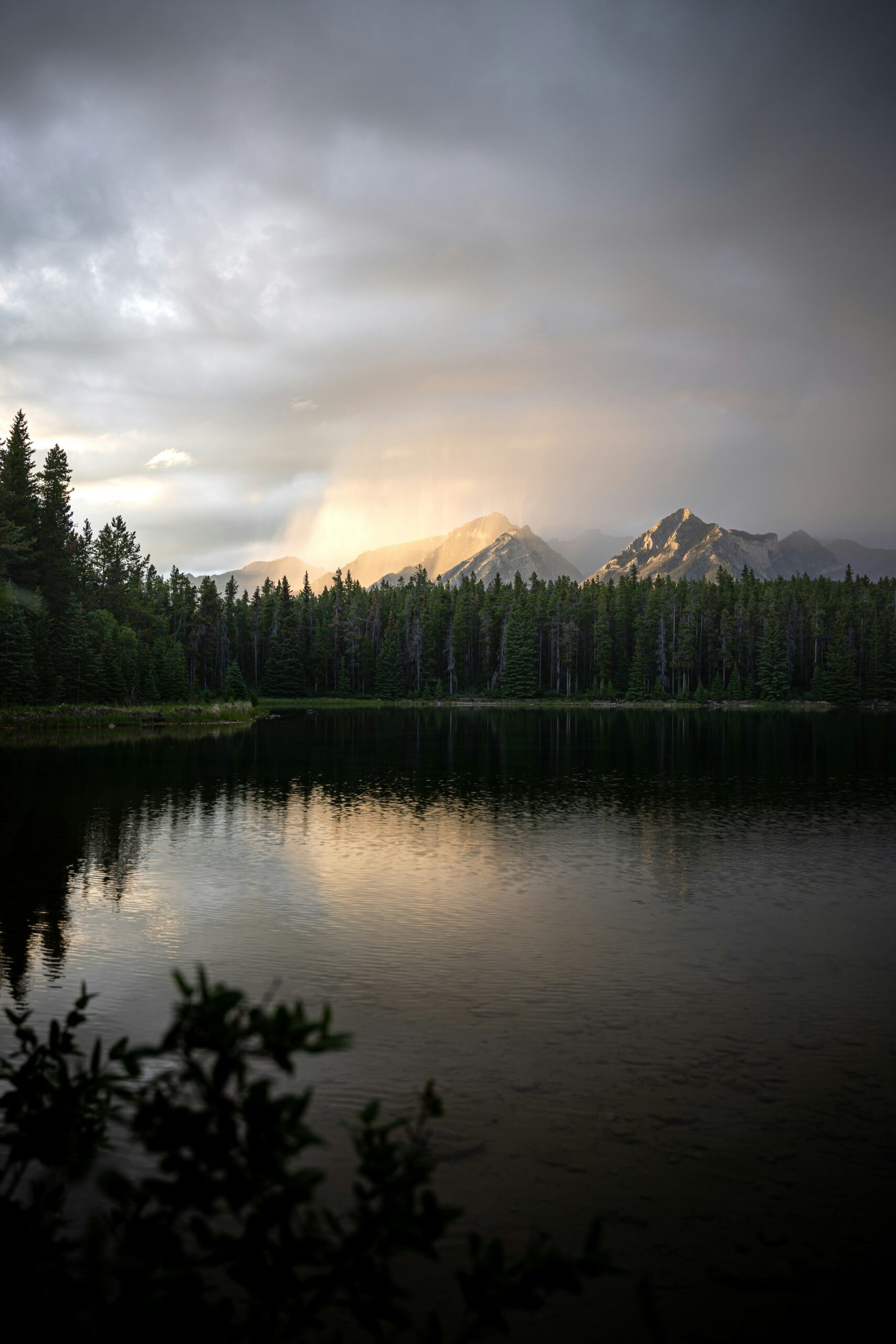 SnowDays Banff Skijoring on Banff Avenue