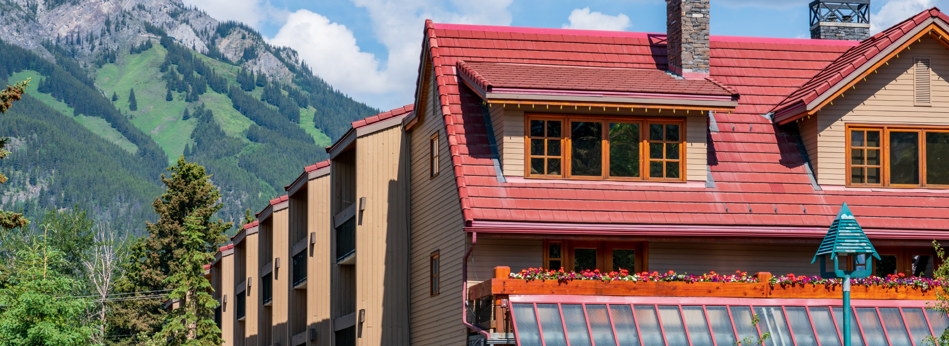 Accommodation Accommodation